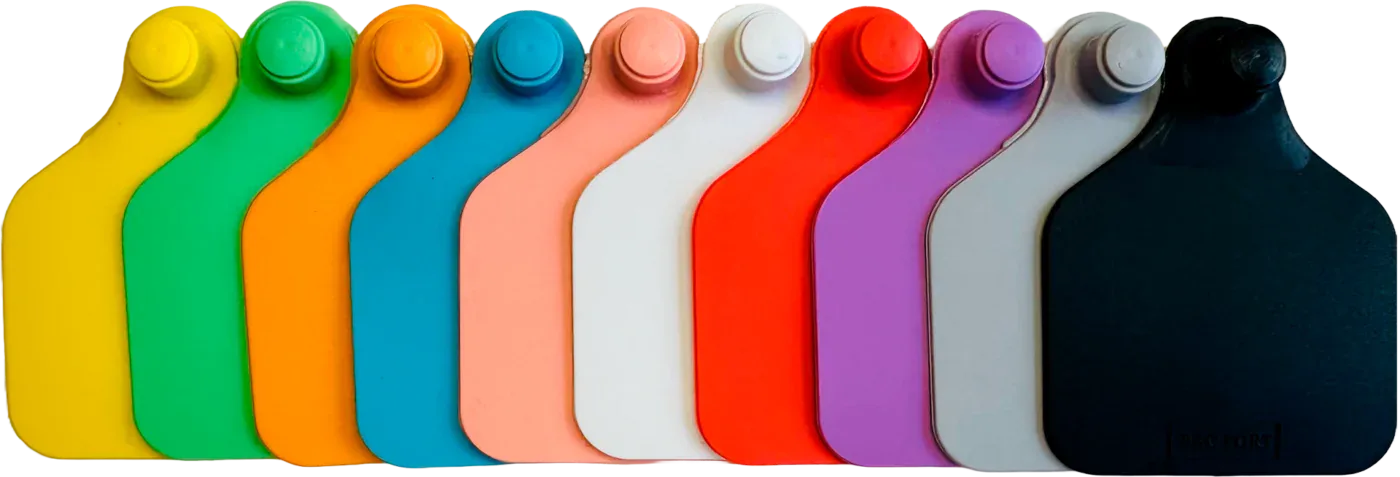 Paleta de cores dos identificadores PecFort