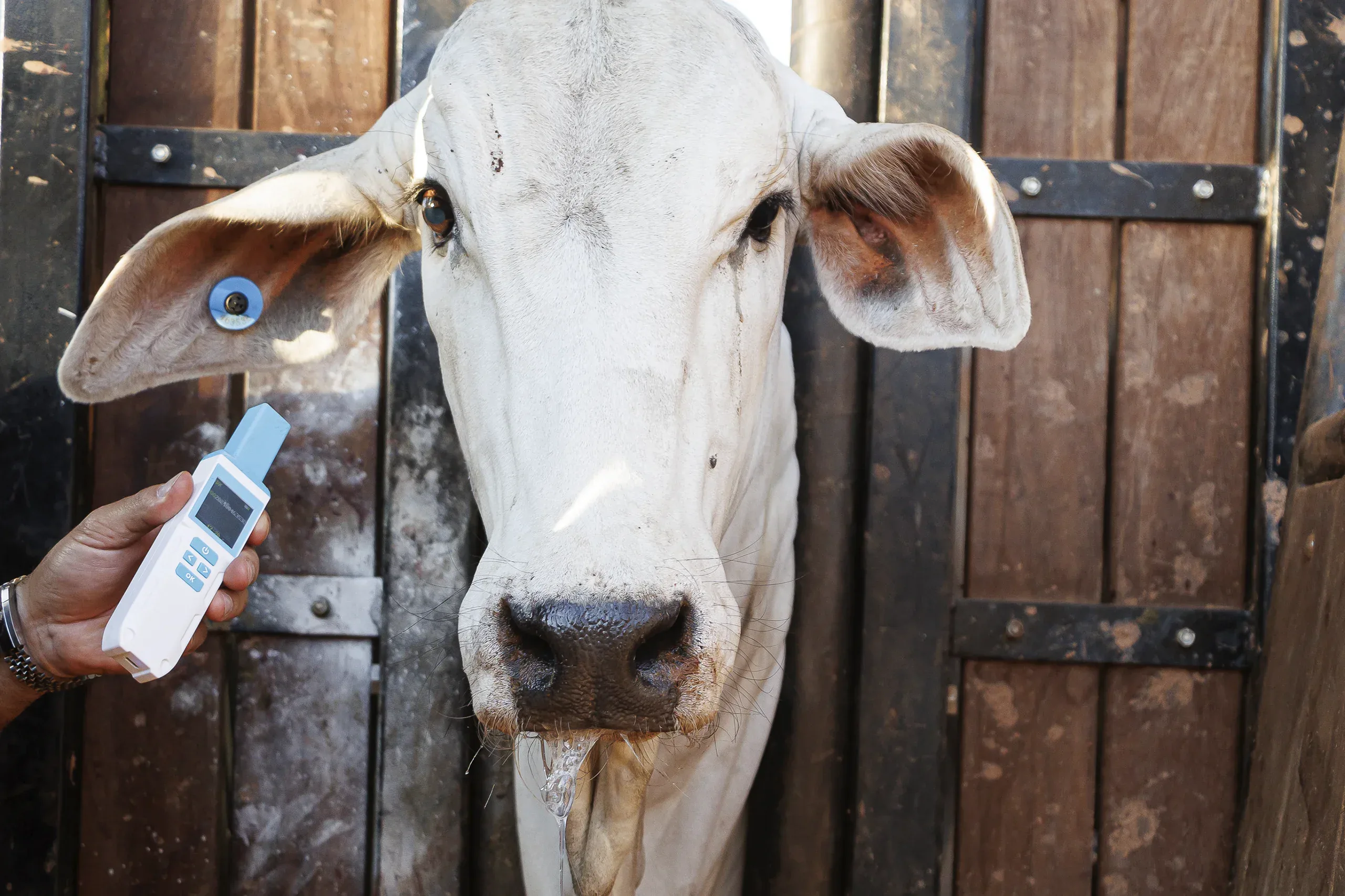 Bastão Leitor RC235 Pecfort