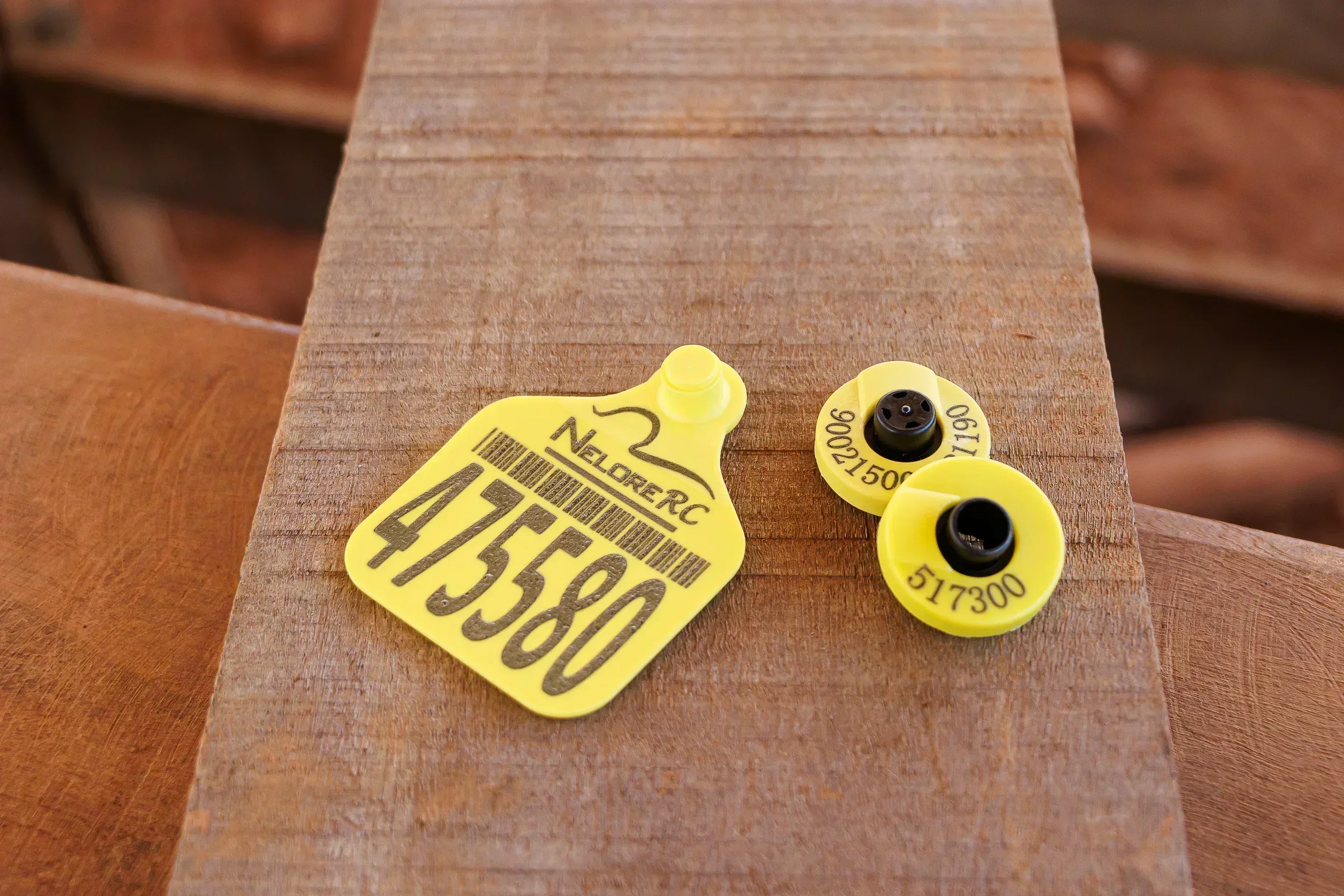 Botton – detalhado 2