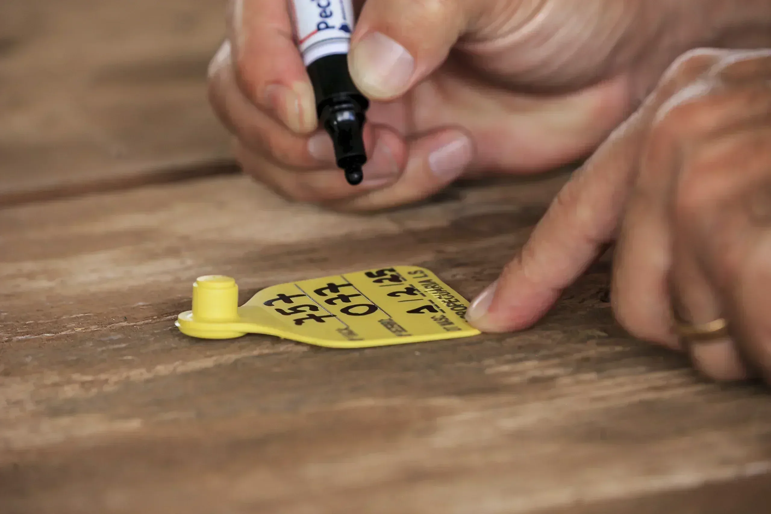 Caneta TAG-PEN Pecfort