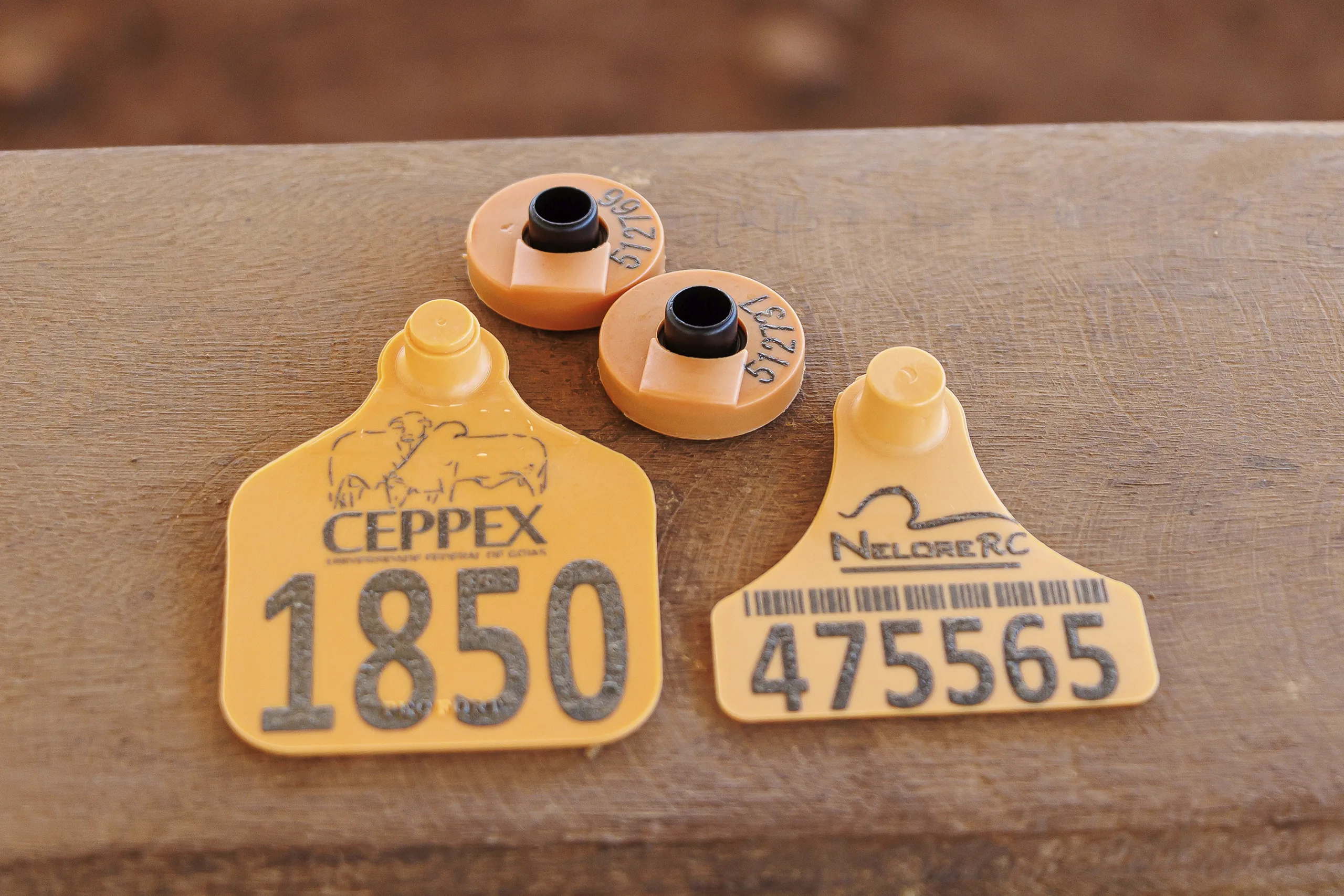 Chip Eletrônico Pecfort