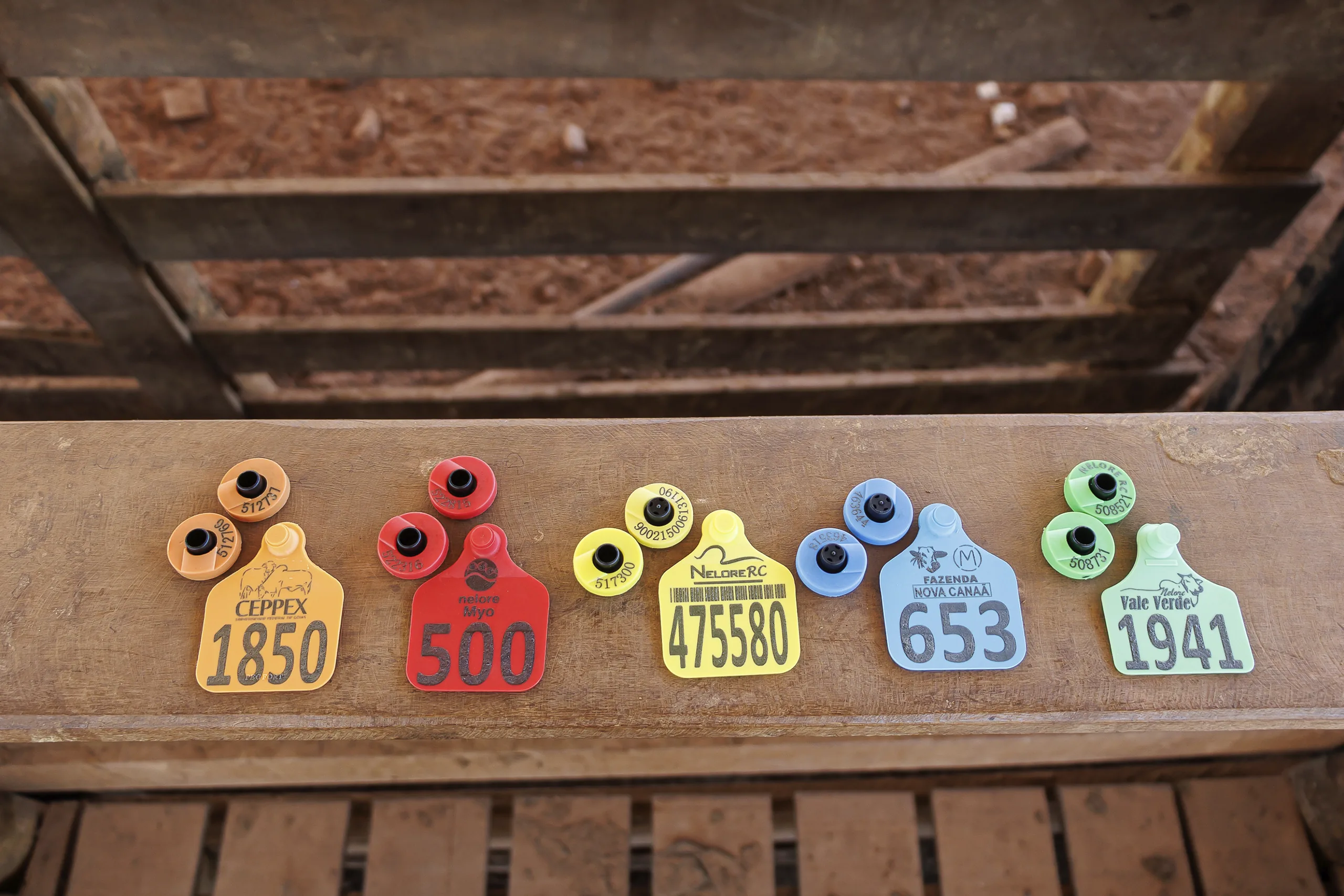 Chip Eletrônico Pecfort