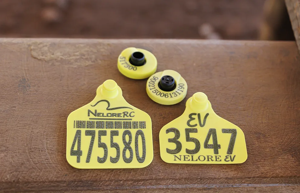 Chip Eletrônico Pecfort