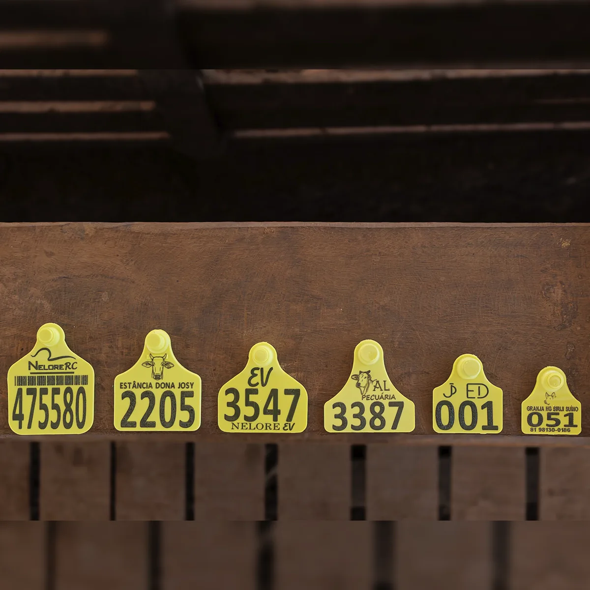 Identificador Easy Tag Pecfort