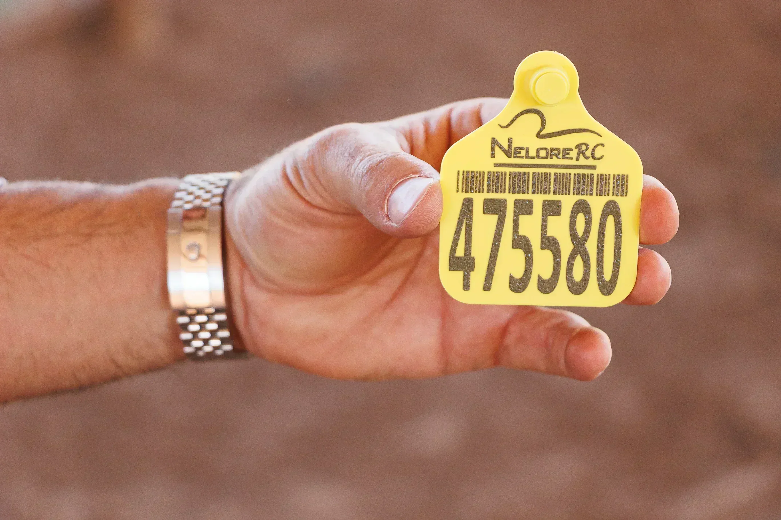 Identificador Grande Pecfort