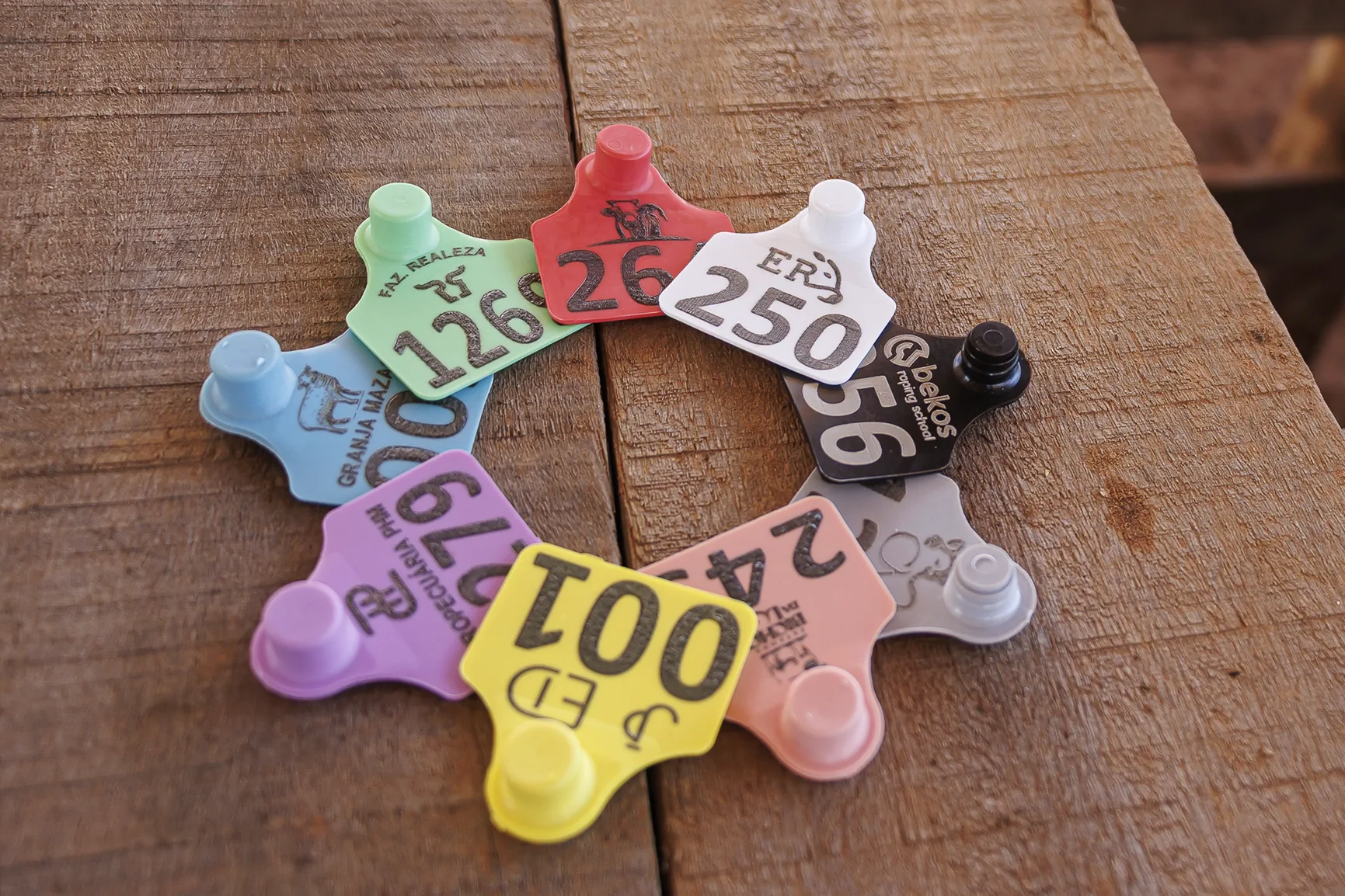 Identificador Medio Plus Pecfort