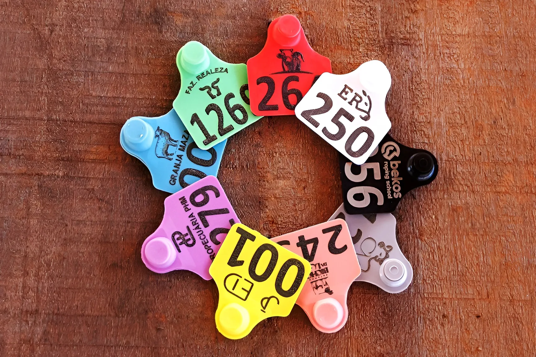 Identificador Medio Plus Pecfort