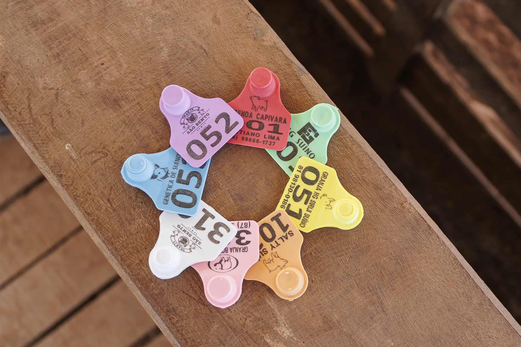 Identificador Pequeno Pecfort