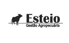 Esteio Gestão